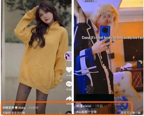 妲己爆料韩安冉视频大全,韩安冉视频大全背后的惊人真相  第3张