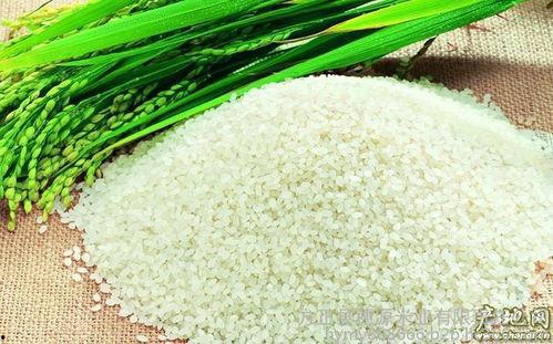 绿色大米爆料视频播放,揭秘绿色大米种植与品质背后的秘密
